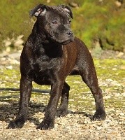 Platinium Egoiste Chanel